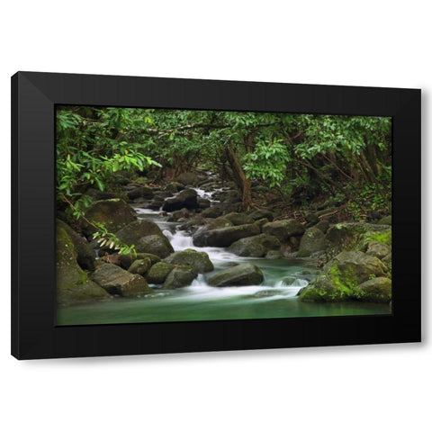 Hawaii, Kauai Creek flowing from a rainforest Black Modern Wood Framed Art Print with Double Matting by Flaherty, Dennis