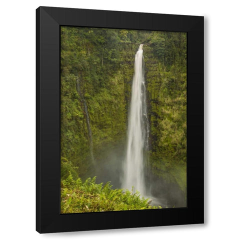 HI, Big Island, Akaka Falls SP, Akaka Falls Black Modern Wood Framed Art Print by Illg, Cathy and Gordon
