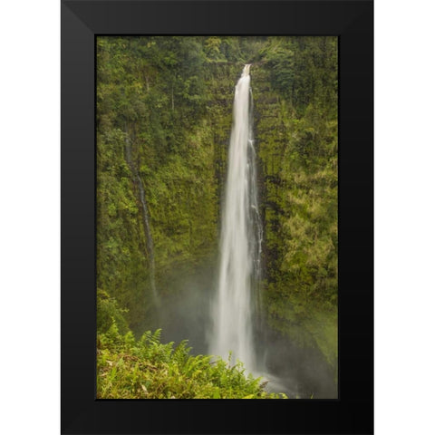 HI, Big Island, Akaka Falls SP, Akaka Falls Black Modern Wood Framed Art Print by Illg, Cathy and Gordon