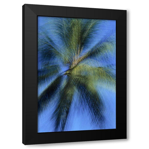 USA, Hawaii Palm tree montage Black Modern Wood Framed Art Print by Bush, Marie