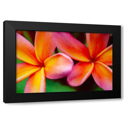 Hawaii-Kauai Abstract of plumeria flowers Black Modern Wood Framed Art Print by Jaynes Gallery