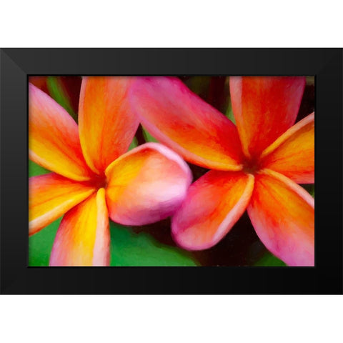 Hawaii-Kauai Abstract of plumeria flowers Black Modern Wood Framed Art Print by Jaynes Gallery