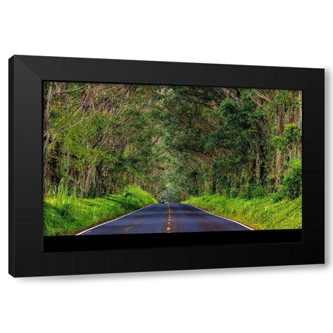 Tree tunnel of Eucalyptus trees line Maliuhi Road near Koloa in Kauai-Hawaii-USA Black Modern Wood Framed Art Print by Haney, Chuck