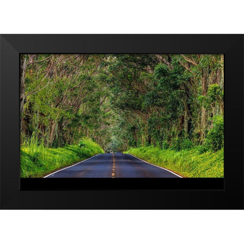 Tree tunnel of Eucalyptus trees line Maliuhi Road near Koloa in Kauai-Hawaii-USA Black Modern Wood Framed Art Print by Haney, Chuck