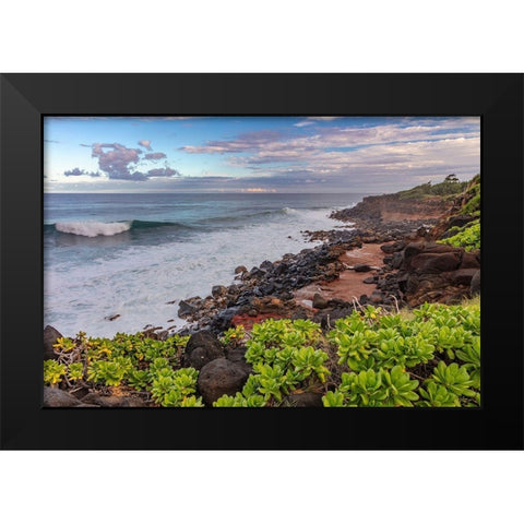 Paliku aka Donkey Beach in Kealia in Kauai-Hawaii-USA Black Modern Wood Framed Art Print by Haney, Chuck