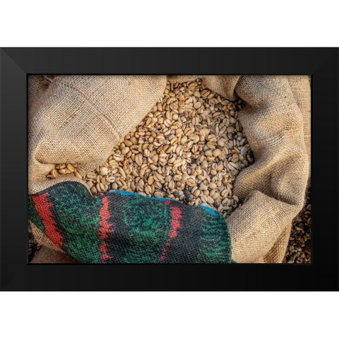 Kauai Coffee beans drying-Kauai-Hawaii-USA Black Modern Wood Framed Art Print by Engelbrecht, Jim