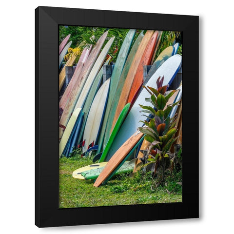 Surfboards and bodyboards-Kauai-Hawaii-USA Black Modern Wood Framed Art Print with Double Matting by Engelbrecht, Jim