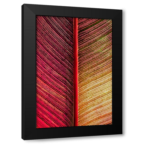 Tropical Vibes Black Modern Wood Framed Art Print with Double Matting by Engelbrecht, Lisa S.