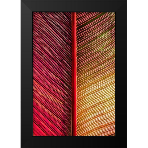 Tropical Vibes Black Modern Wood Framed Art Print by Engelbrecht, Lisa S.