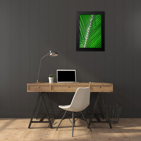 Palm frond Black Modern Wood Framed Art Print by Engelbrecht, Lisa S.