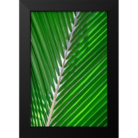 Palm frond Black Modern Wood Framed Art Print by Engelbrecht, Lisa S.