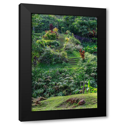 Princeville Botanical Garden-Princeville-Kauai-Hawaii Black Modern Wood Framed Art Print with Double Matting by Engelbrecht, Lisa S.