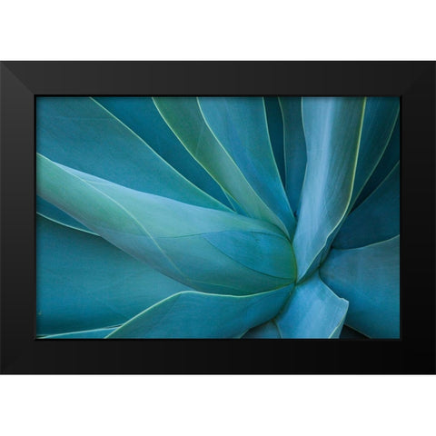 Hawaii-Maui-Kula-agave plant design Black Modern Wood Framed Art Print by Gulin, Sylvia
