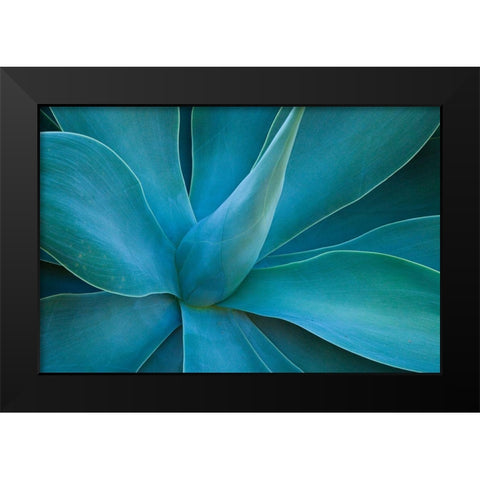 Hawaii-Maui-Kula-agave plant design Black Modern Wood Framed Art Print by Gulin, Sylvia