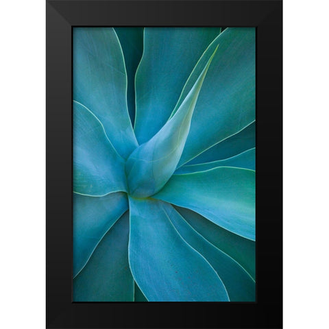 Hawaii-Maui-Kula-agave plant design Black Modern Wood Framed Art Print by Gulin, Sylvia