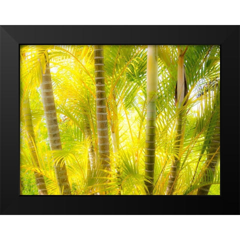 Hawaii-Maui-Up Country-Kula-Kula Botanical Gardens with small tropical palm trees Black Modern Wood Framed Art Print by Gulin, Sylvia