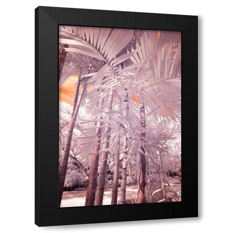 USA-Hawaii-Kauai-Infrared of palm trees of Kauai Black Modern Wood Framed Art Print by Eggers, Terry