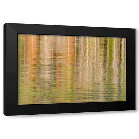 Idaho Fall reflections ripple on Redfish Lake Black Modern Wood Framed Art Print with Double Matting by Paulson, Don