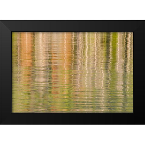 Idaho Fall reflections ripple on Redfish Lake Black Modern Wood Framed Art Print by Paulson, Don