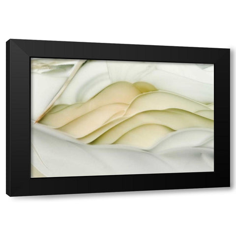 USA, Idaho Close-up of Willow Creek Jasper stone Black Modern Wood Framed Art Print by Kirkland, Dennis