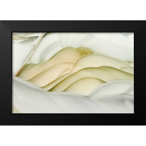 USA, Idaho Close-up of Willow Creek Jasper stone Black Modern Wood Framed Art Print by Kirkland, Dennis