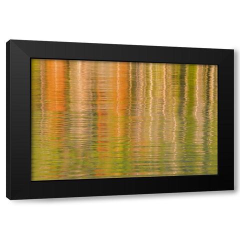USA, Idaho Reflections on Redfish Lake Black Modern Wood Framed Art Print with Double Matting by Paulson, Don