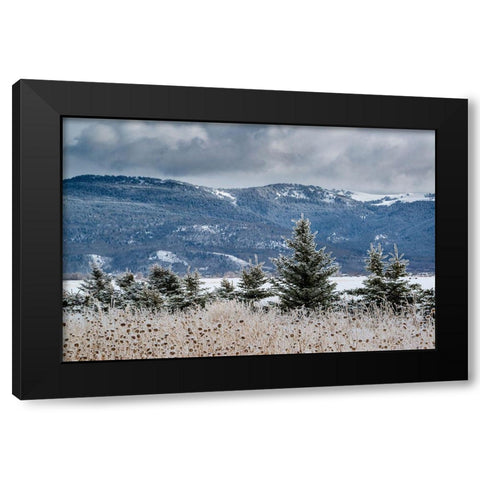 Evergreen trees in winter with Teton Mountains in distance-Driggs-Idaho Black Modern Wood Framed Art Print with Double Matting by Garber, Howie