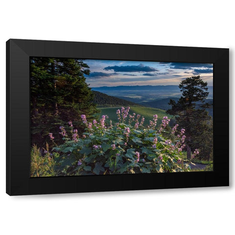 USA-Idaho-Mountain Globemallow and view of Teton Valley Black Modern Wood Framed Art Print with Double Matting by Garber, Howie