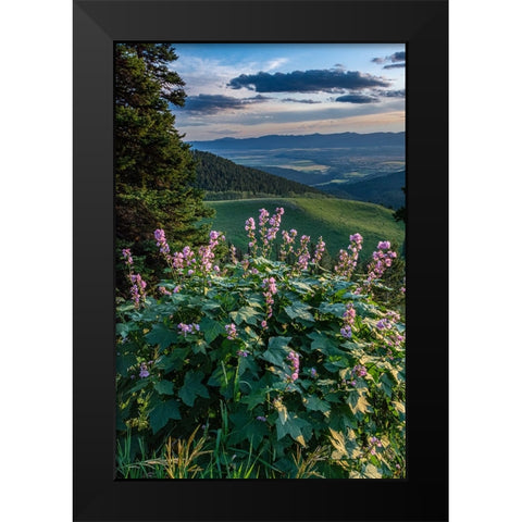 USA-Idaho-Mountain Globemallow and view of Teton Valley Black Modern Wood Framed Art Print by Garber, Howie
