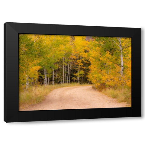 USA-Idaho-Highway 36 west of Liberty dirt road and Aspens in autumn Black Modern Wood Framed Art Print by Gulin, Sylvia