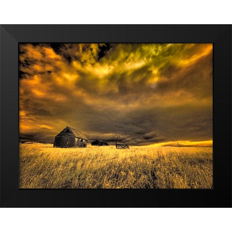 USA-Idaho-Liberty-Infrared of old cabin near Liberty Black Modern Wood Framed Art Print by Eggers, Terry