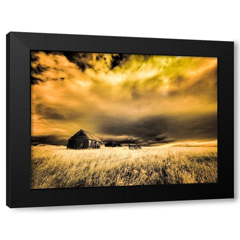 USA-Idaho-Liberty-Infrared of old cabin near Liberty Black Modern Wood Framed Art Print by Eggers, Terry