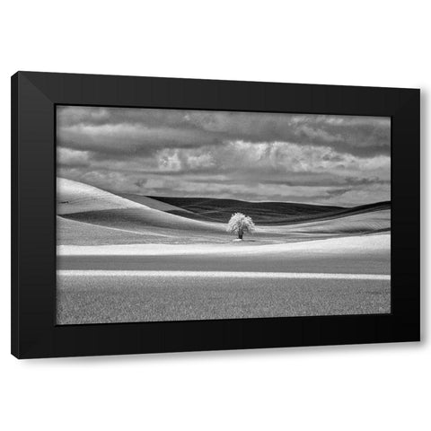 USA-Idaho-Palouse Country-Lone tree and Infrared Palouse fields Black Modern Wood Framed Art Print by Eggers, Terry