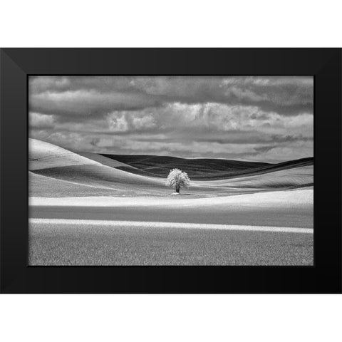 USA-Idaho-Palouse Country-Lone tree and Infrared Palouse fields Black Modern Wood Framed Art Print by Eggers, Terry