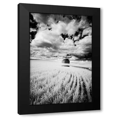 Infrared Palouse fields and barn-PR Black Modern Wood Framed Art Print with Double Matting by Eggers, Terry