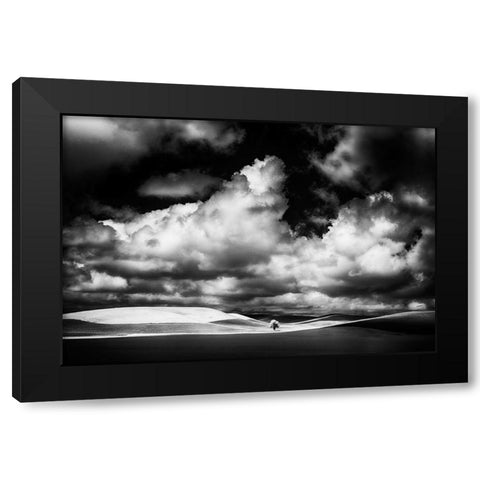 USA-Idaho-Palouse Country-Small tree in wheat field with Running light Black Modern Wood Framed Art Print by Eggers, Terry