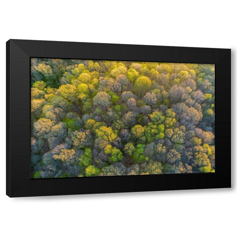 Aerial view of forest in spring-Marion County-Illinois Black Modern Wood Framed Art Print with Double Matting by Day, Richard and Susan
