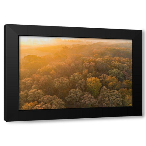 Aerial View of fall Color at sunrise-Marion County-Illinois Black Modern Wood Framed Art Print with Double Matting by Day, Richard and Susan