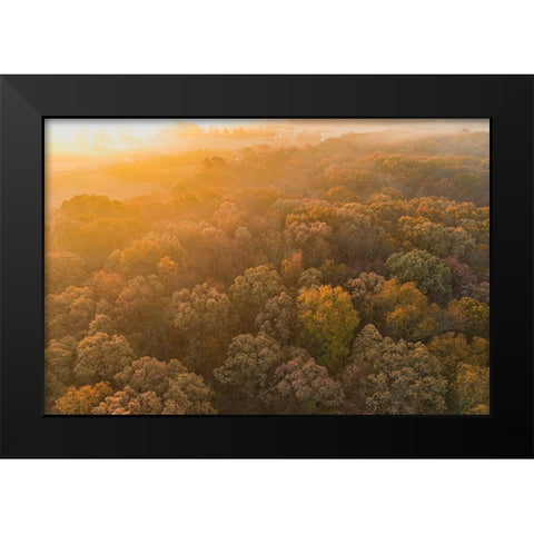 Aerial View of fall Color at sunrise-Marion County-Illinois Black Modern Wood Framed Art Print by Day, Richard and Susan