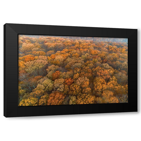 Aerial View of fall Color at sunrise-Marion County-Illinois Black Modern Wood Framed Art Print by Day, Richard and Susan