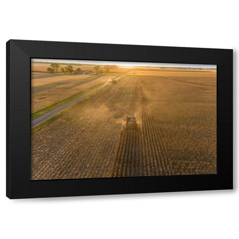 Aerial view of combine harvesting corn field at sunset-Marion County-Illinois Black Modern Wood Framed Art Print with Double Matting by Day, Richard and Susan