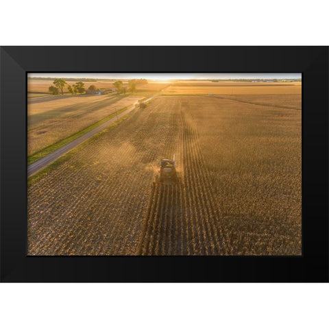 Aerial view of combine harvesting corn field at sunset-Marion County-Illinois Black Modern Wood Framed Art Print by Day, Richard and Susan