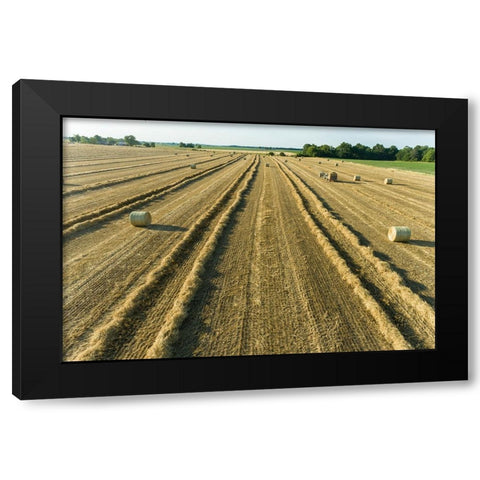 Aerial view of rows of wheat straw before baling and round bales-Marion County-Illinois Black Modern Wood Framed Art Print by Day, Richard and Susan