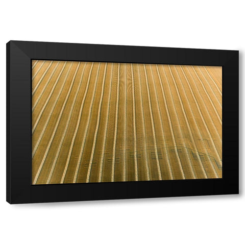 Aerial view of rows of wheat straw before baling-Marion County-Illinois Black Modern Wood Framed Art Print by Day, Richard and Susan