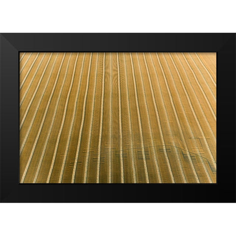 Aerial view of rows of wheat straw before baling-Marion County-Illinois Black Modern Wood Framed Art Print by Day, Richard and Susan