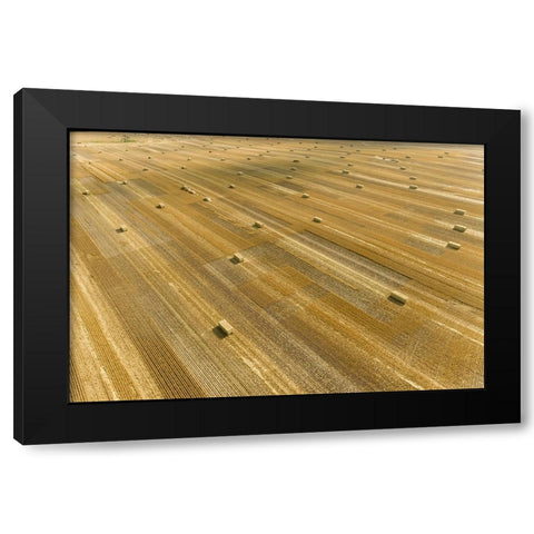 Aerial view of large square bales of wheat straw in field-Clay County-Illinois Black Modern Wood Framed Art Print by Day, Richard and Susan