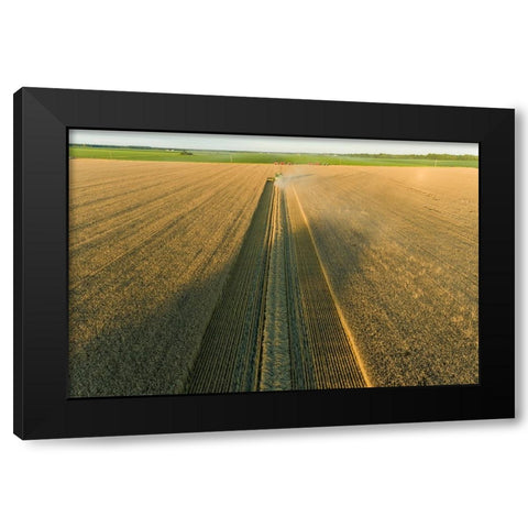 Aerial view of combine harvesting wheat at sunset-Marion County-Illinois Black Modern Wood Framed Art Print by Day, Richard and Susan