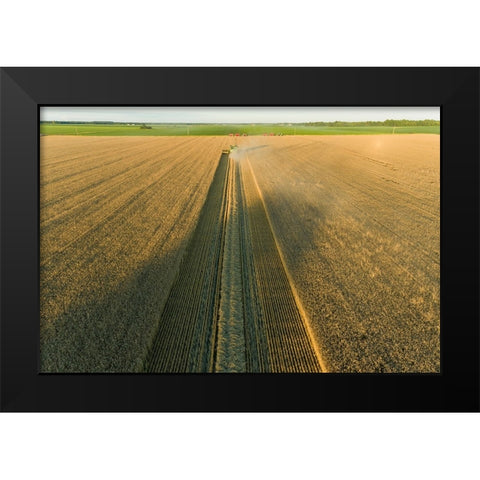 Aerial view of combine harvesting wheat at sunset-Marion County-Illinois Black Modern Wood Framed Art Print by Day, Richard and Susan