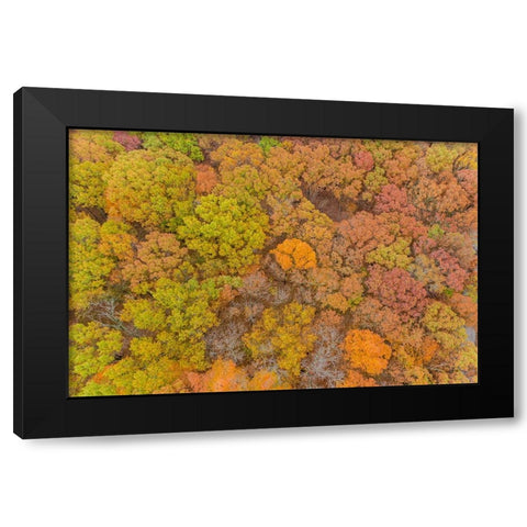 Aerial view of fall color-Marion County-Illinois Black Modern Wood Framed Art Print with Double Matting by Day, Richard and Susan