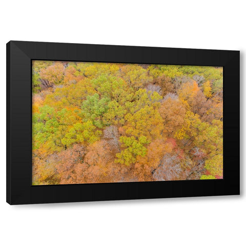 Aerial view of fall color-Marion County-Illinois Black Modern Wood Framed Art Print with Double Matting by Day, Richard and Susan